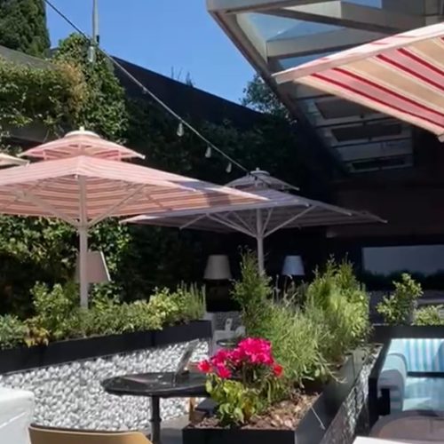 WhatsApp Image 2026-02-16 at 13.11.59